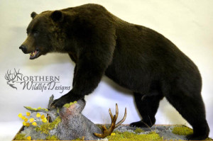 northern wildlife designs bear