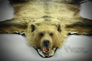northern wildlife designs grizzly bear rug