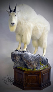 Mountain Goat on pedestal