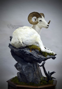 Sheep on pedestal