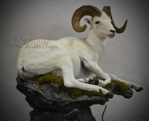 Sheep on pedestal